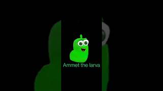 Ammet the larva 😃