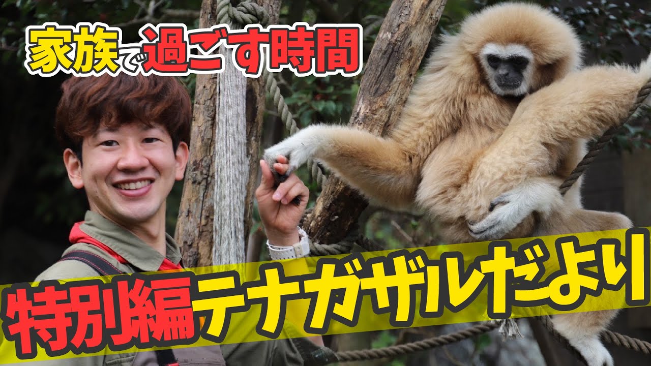 シロテテナガザル一家と担当飼育員に密着！