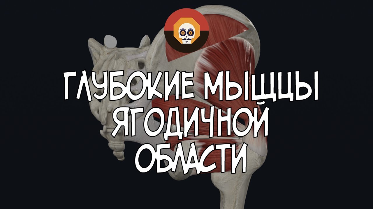 ����������� ��������� Pharmacom Labs �����-��������: ����.