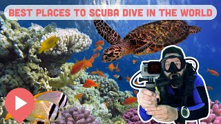 Best Places to Scuba Dive in the World by ViewCation 265 views 4 months ago 8 minutes, 8 seconds
