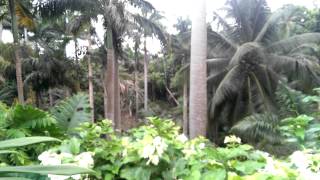 VIDEO0033.mp4