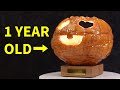 Resin Covered Pumpkin After 1 YEAR - is it rotten?