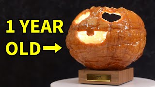 Resin Covered Pumpkin After 1 YEAR - is it rotten?