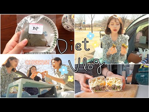 [Eng]맛있는 다이어트식단 레시피! 보리스콘,불고기샌드위치,한강에서의 빵파티 ! 🥖🥐🥗
