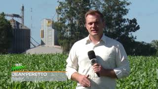 Agricultores do Oeste do Paraná iniciam plantio do milho safrinha