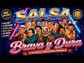 #Salsa Brava 2026 🔥 Hector Lavoe, Willie Colon & El Gran Combo Greatest Hits