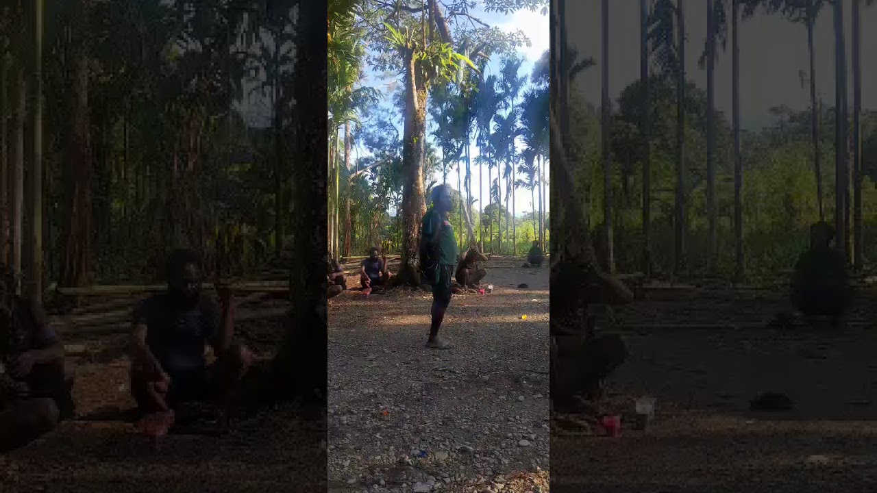 Sambungan Pernyataan Noap 