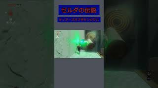 予想の斜め上【ゼルダの伝説ティアキン】