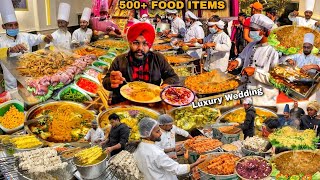 600+ Food Items | Punjab Ki luxury Wedding