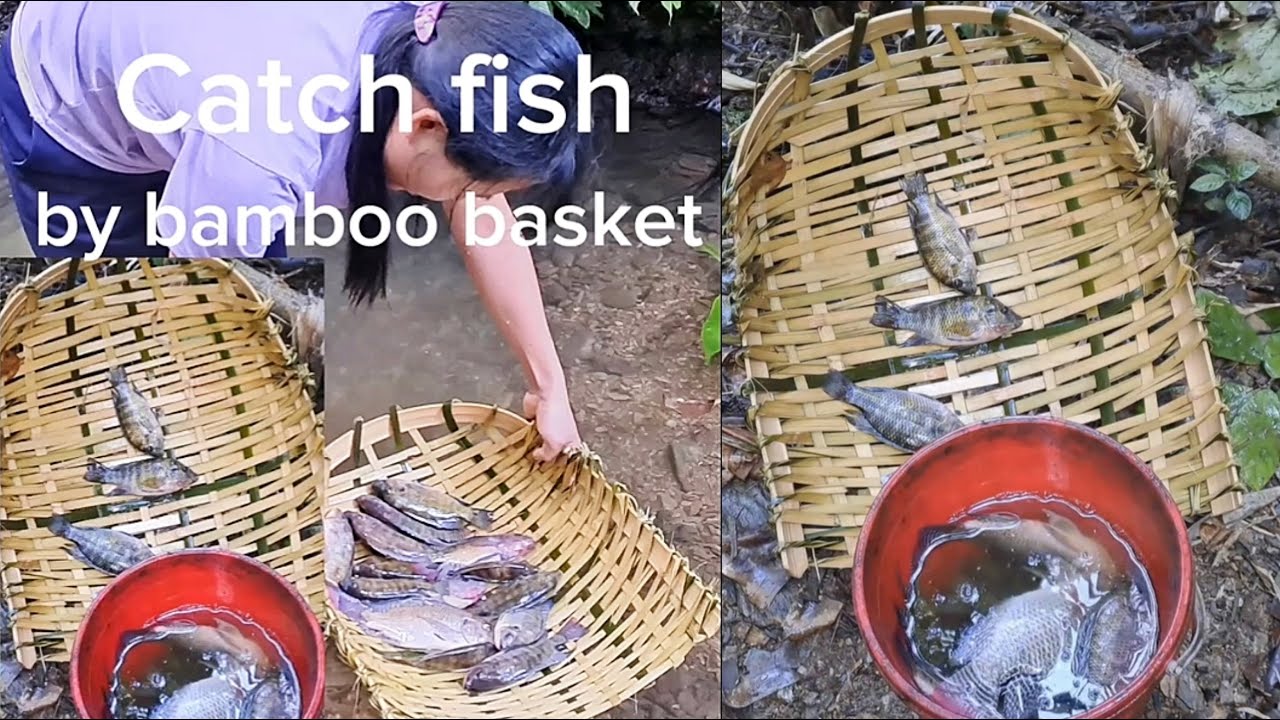 Girl Trieuthixuan789 weaves bamboo baskets to catch stream fish for ...