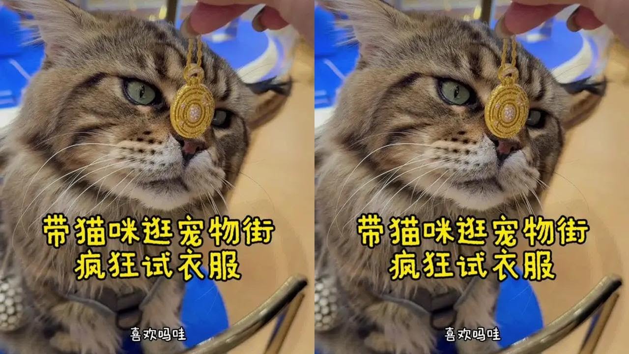 你们觉得罗宾宾穿哪套会相对于好看一点呀～