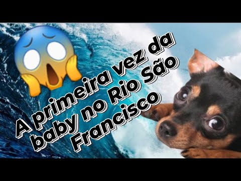 Será que ela nadou 😱