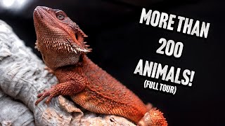 You Won’t Believe What’s in My Reptile Room.. (FULL TOUR)
