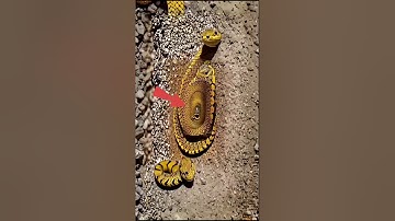 मेरे महादेव मैं जब भी टूटता हूं 👌 Mahadev Status, Bholenath Status #shortfeed#shivstatus 🙏Mahadeva