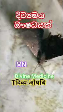 කියා ගන්න බැරි එයාට වතුර ටිකක් #love #foryou #foryourpages #follwers #subcribeme #beles #butterfly