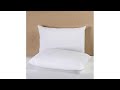 Concierge Collection Ultra Cool Pillow 2pack  Jumbo