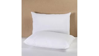 Concierge Collection Ultra Cool Pillow 2pack  Jumbo