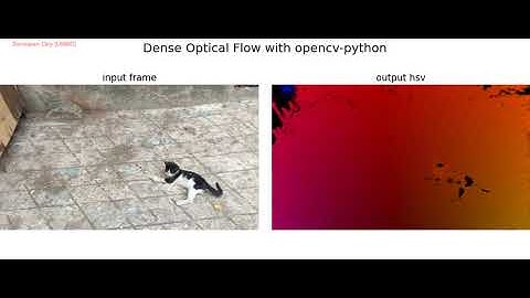 Optical Flow | Dense | Lukas Kanade algoirhtm | opencv-python