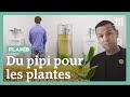 Comment l’urine humaine pourrait être l'engrais du futur #PlanB