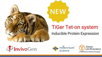 TiGer Tet-on system for Inducible Protein Expression | InvivoGen