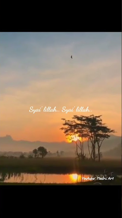 Habibunal karim | Story Wa Shalawat | Story Wa Terbaru 2021