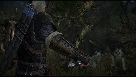 W3EE Redux: Ancient Leshen vs Bomb