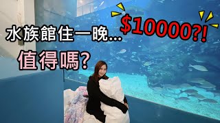 夜宿X PARK水族館前睡一晚!一個人一萬值得嗎? 