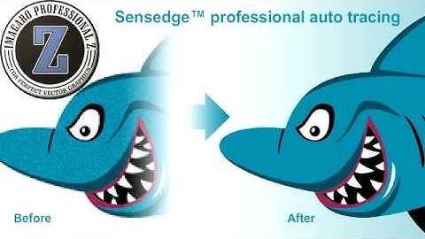 The features of Imagaro professional Z