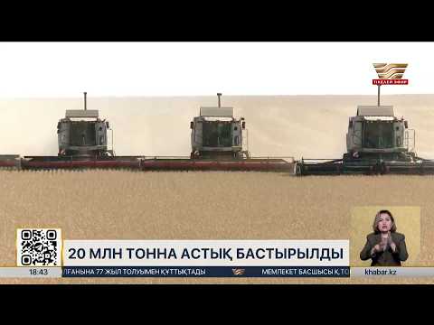 Қазақстанда 20 млн тоннаға жуық астық бастырылды