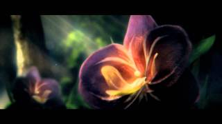 CharLex | ShapeShifter screenshot 4