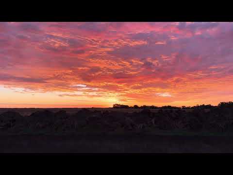 EPIC Sunrise This Morning! 🌅🔥 | Nature Put on a Show!