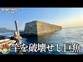 異次元の沖堤防で規格外の一晩大物釣り。竿をへし折る巨大魚と一騎打ち！の巻