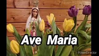 Ave  Maria with lyrics Cover by Maria Theresa Feliciano Angeles