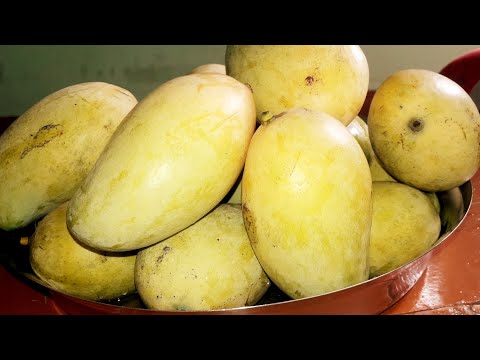 घर पर आम पकाने का सरल उपाय/ कार्बाइट से आम पकाने का सही तरीका/ Village Vlog/ Indian Vlog