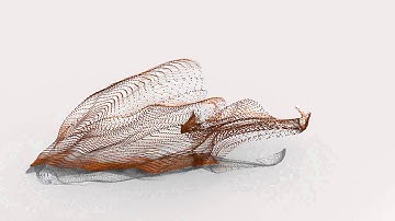 Blender box disintegration test (explode modifier)