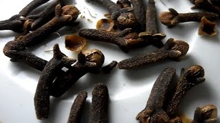 Get rid of migraine/headache naturally - माइग्रेन / सिरदर्द से छुटकारा पाएं Get rid of migraine/headache naturally - माइग्रेन / सिरदर्द से छुटकारा पाएं