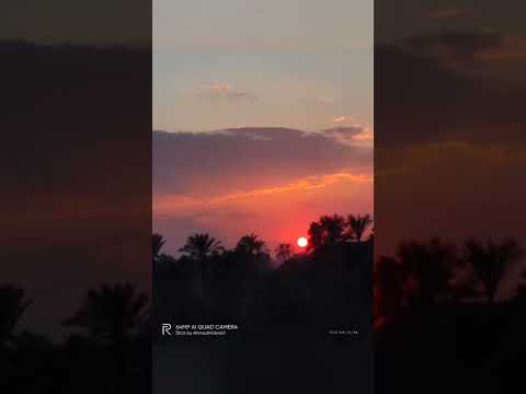 ينادي فؤادي