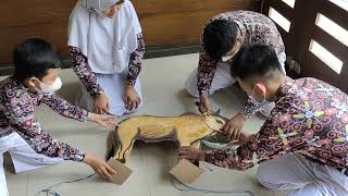 KELAS 9A#PRESENTASI PRAKTEK PENYEMBELIHAN HEWAN SECARA TRADISIONAL