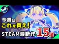 【Steam新作 5/28更新】ナイトレインの影に隠れし者たち【2025年5月19日～5月31日発売】