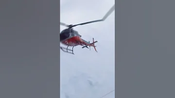 O Jaana Na Jaana Yai Dil Tera Deewana Shorts Song Nature 