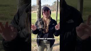 What Winters Are REALLY Like In Boone, NC #shorts