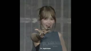 The Different Versions Of Lesserafim Chaewons Fearnot, Be My Comrade