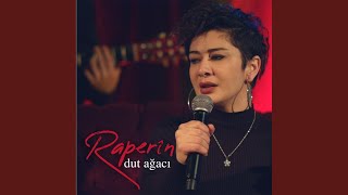 Download Lagu Dut Ağacı MP3