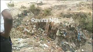 Ravina Ncl
