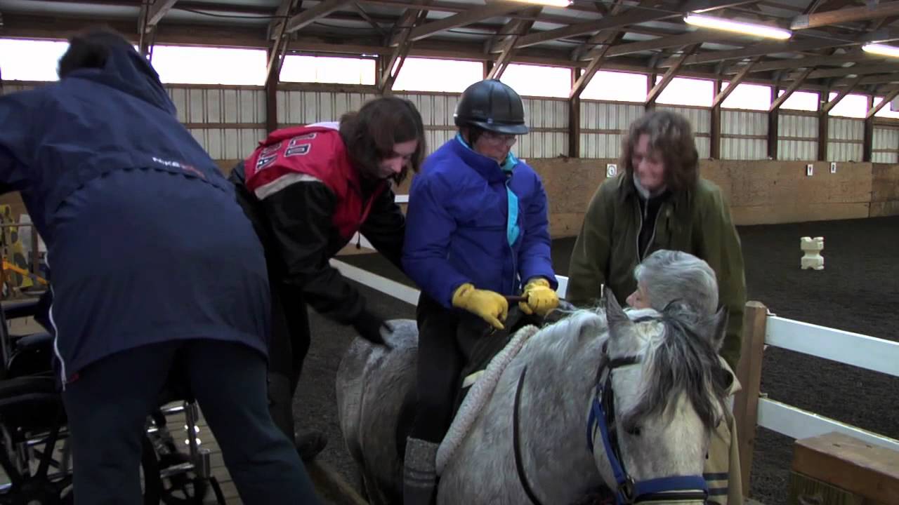 Horse and Client Welfare