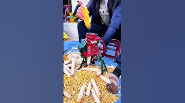 Efficient Corn Shelling with a Hand-Cranked Machine!