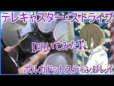 テレキャスターストライプ - ポルカドットスティングレイ