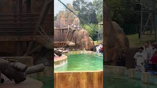 This Weekend A Little Pig Brings You Joy The Little Pig Is Performing I Am Serious About The