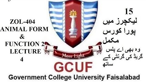 lecture 4 zol-404 animal form and function 2