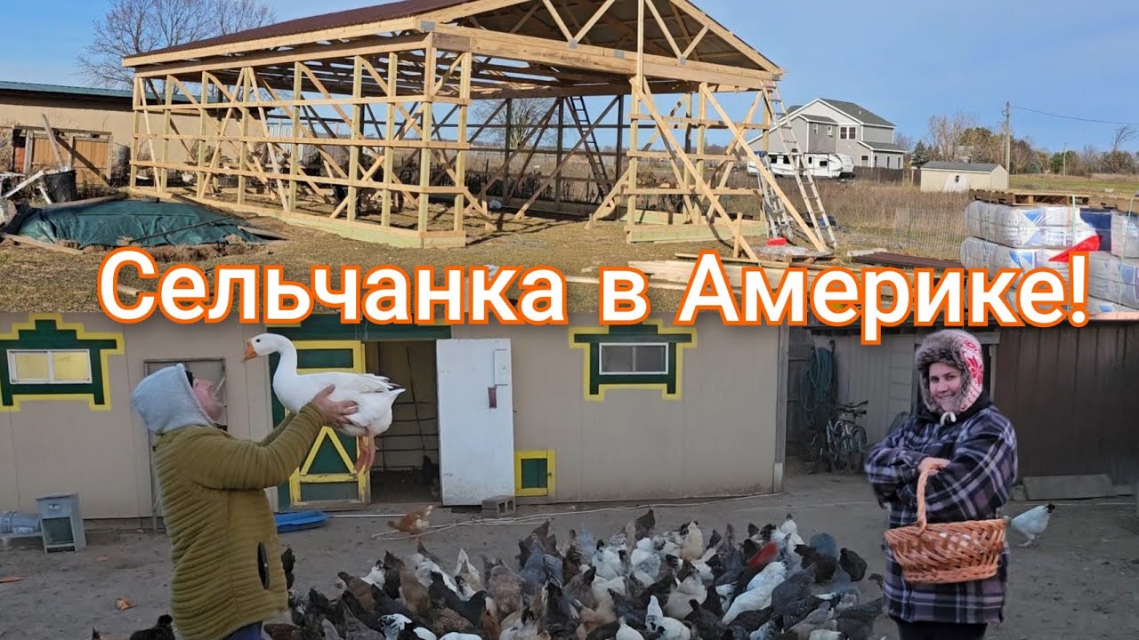 Сельчанка в америке selchanka